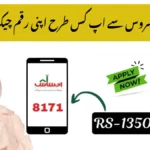 Quick BISP 8171 Payment 2025