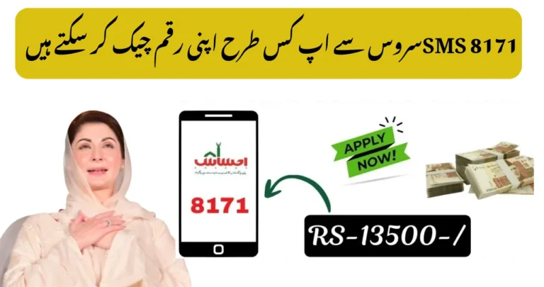 Quick BISP 8171 Payment 2025