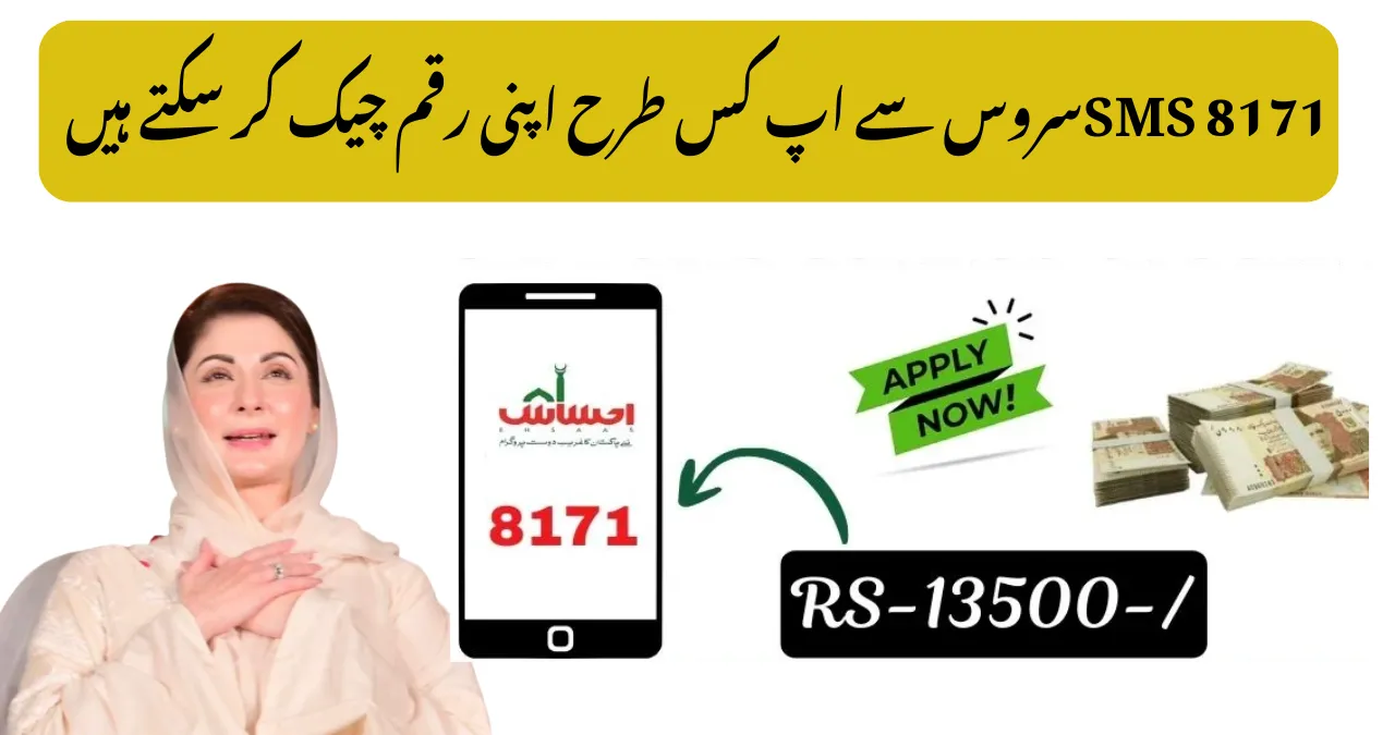 Quick BISP 8171 Payment 2025