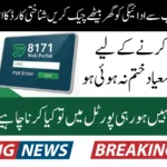 BISP 8171 Payment Portal Check